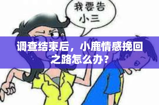 调查结束后，小鹿情感挽回之路怎么办？