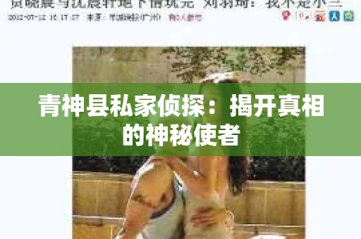 青神县私家侦探：揭开真相的神秘使者