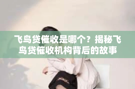 飞鸟贷催收是哪个？揭秘飞鸟贷催收机构背后的故事