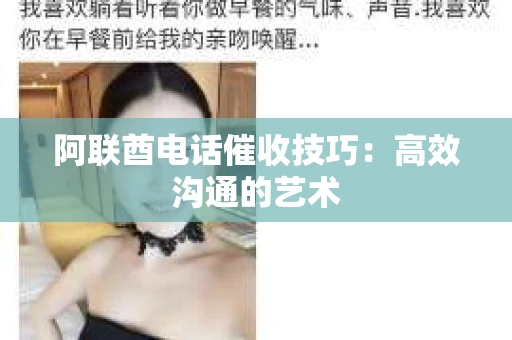 阿联酋电话催收技巧：高效沟通的艺术