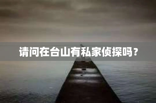 请问在台山有私家侦探吗？