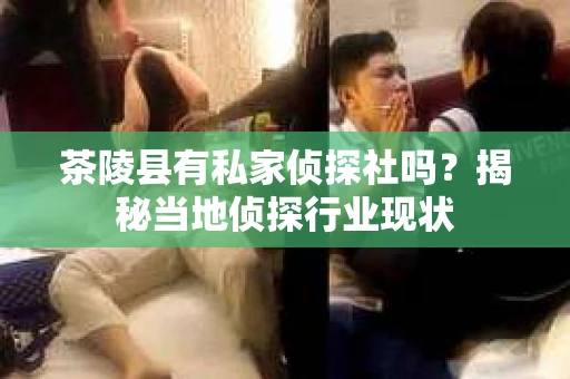 茶陵县有私家侦探社吗？揭秘当地侦探行业现状