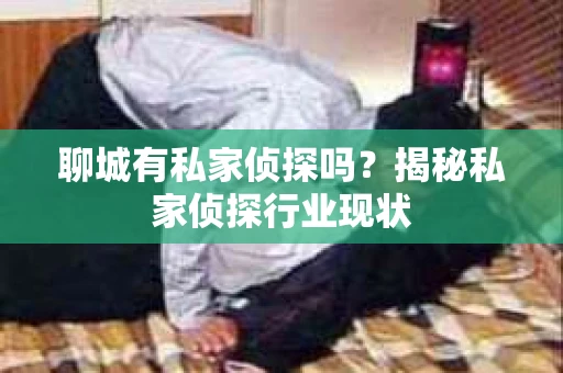 聊城有私家侦探吗？揭秘私家侦探行业现状