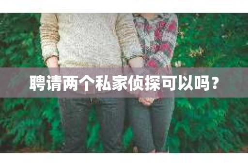 聘请两个私家侦探可以吗? 聘请两个私家侦探可以吗?
